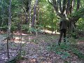 Polovnicke zdruzenie-Lipie   14